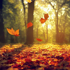 "Autumn" - Winter Winds Show