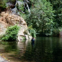 Go Unto Yourself by Elana Arian and Becky Mann with Dana Bederson