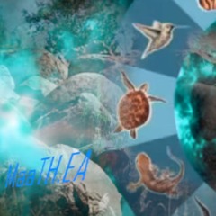 CosmoTrans || Re:Mix'25