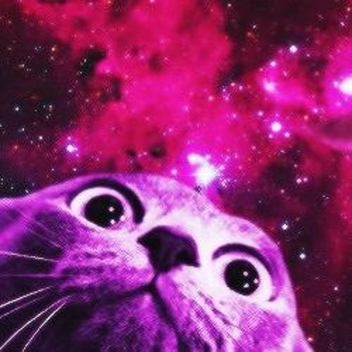 Cats in Space - Mixed by DNYZE # Guestmix 2023