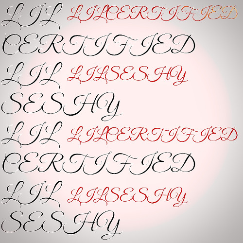 lil certfied intro