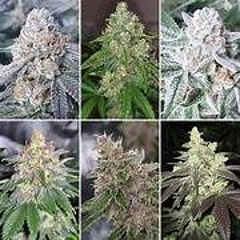 2024 Sesh 4 Saturday 1st Mix