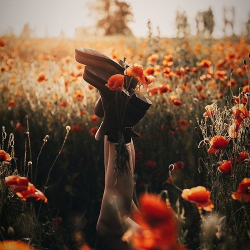 Spring Dreaming