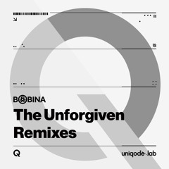 The Unforgiven (Airplay Mix)