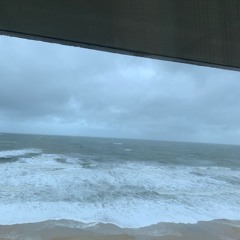 steel in the jungle.mp3