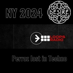 Perroz NY 2024 Loops radio