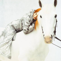 Winter (Tori Amos cover)