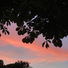 ВЕЛИКИЙ ПЛЕЙЛИСТ. СЕТИ-ТРЕКИ 2021-2023