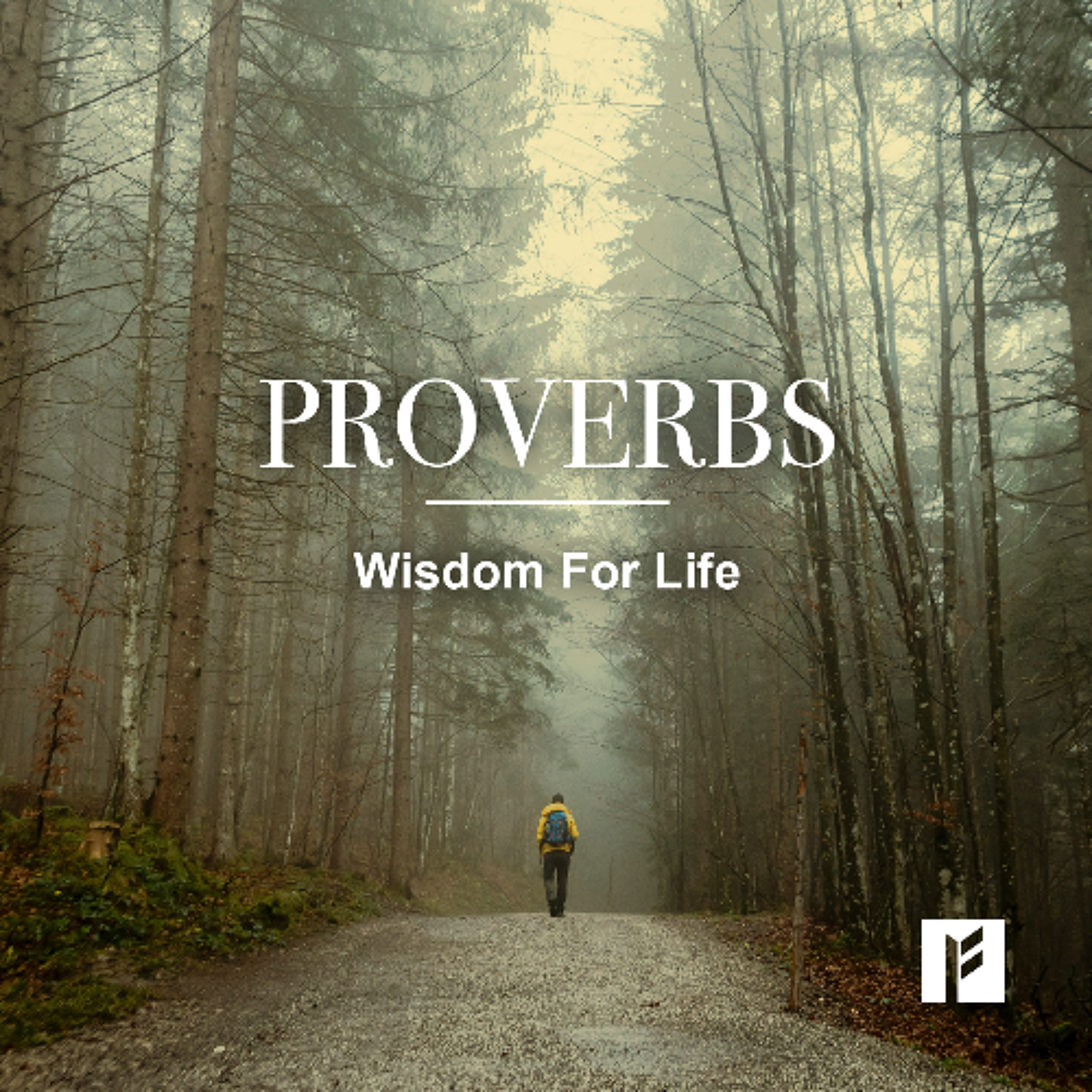 Proverbs 31 - 'Wed Wisdom' episode artwork