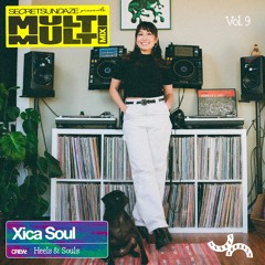Multi Multi Mix Vol. 9: Xica Soul