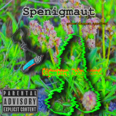 Spenigmaut