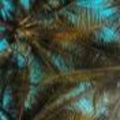 Haba (radio edit)