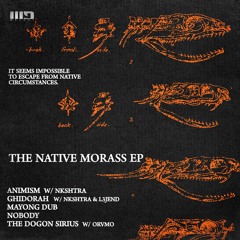 Diffshock - The Native Morass Ep w/ Nkshtra,L3jend & Orvmo / Welupt Collective