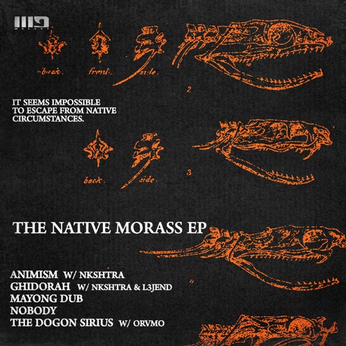 Diffshock - The Native Morass Ep w/ Nkshtra,L3jend & Orvmo / Welupt Collective
