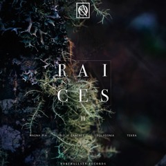[NTSRAI002] Raices II - Various Artists