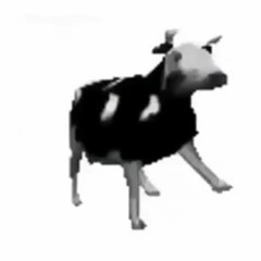 Polish Cow