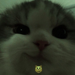 ostanovite menya - Super Slowed