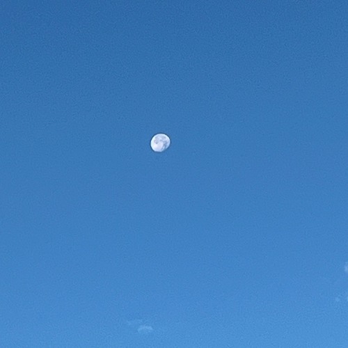 Taal For Tal - 12 6 24, 15.53