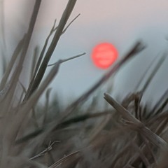 sad playlist for those nights