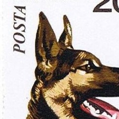 Heading Upstairs (demo)