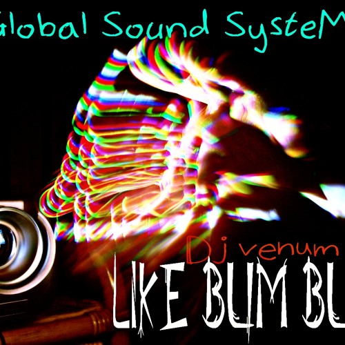 Dj VenuM - Like Bum Bum GSS 2013