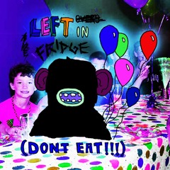 Leftovers In The Fridge (DONT EAT)