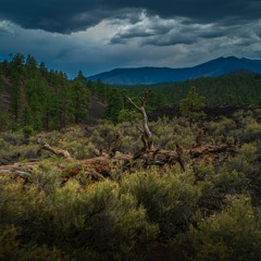 Why I Don't Compete (Acoustic Live)