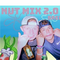 Nut Mix 2.0
