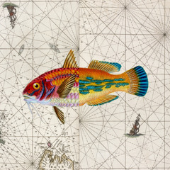 When the Weather Gets Cold (Nyc)