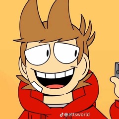 she's crazy but she's mine - Tord cover IA