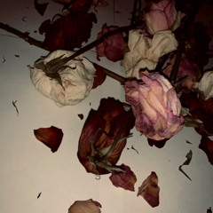 porox (speed up + bass)