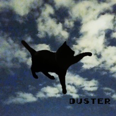Duster - Me And The Birds (cover)