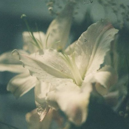 lilith (Saint Avangeline) slowed and reverbed