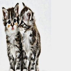 ⁺‧₊˚tu me besas bn ₊‧⁺