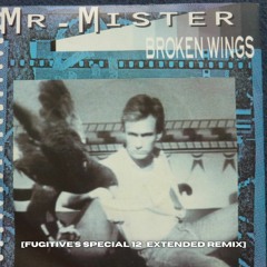 Mr Mister - Broken Wings [Fugitive's Extended 12'' Remix]