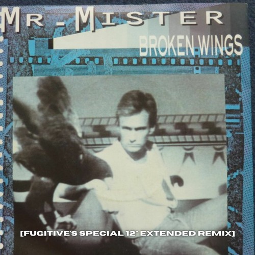 Stream Mr Mister - Broken Wings [Fugitive's Extended 12'' Remix] by Kenny  Hayes | Listen online for free on SoundCloud