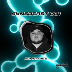 SynSoCast 001 | SCHAMBES