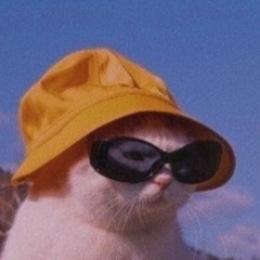 you've got a friend in me- linds and chris studio session