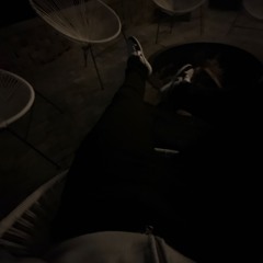 少林 (prod. Bloodhound G5)