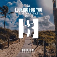 Looking for You (Daniel Tonik Remix) [feat. Dominik Dale]