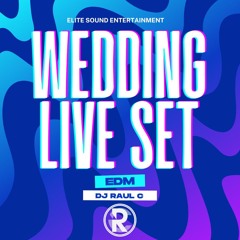 DJ RAUL C - LIVE WEDDING SET (EDM)