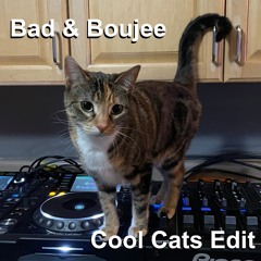 Migos - Bad & Boujee (Runthetrvp Cool Cats Edit)[Free Download]