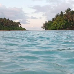 seni lon lelukei(cover by Nasky)