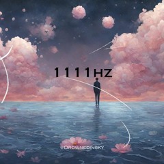 1111hz (ft.Malte marten)