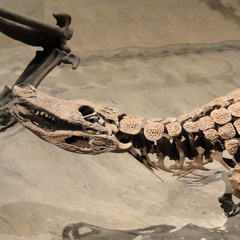 High Rise (Original Mix)