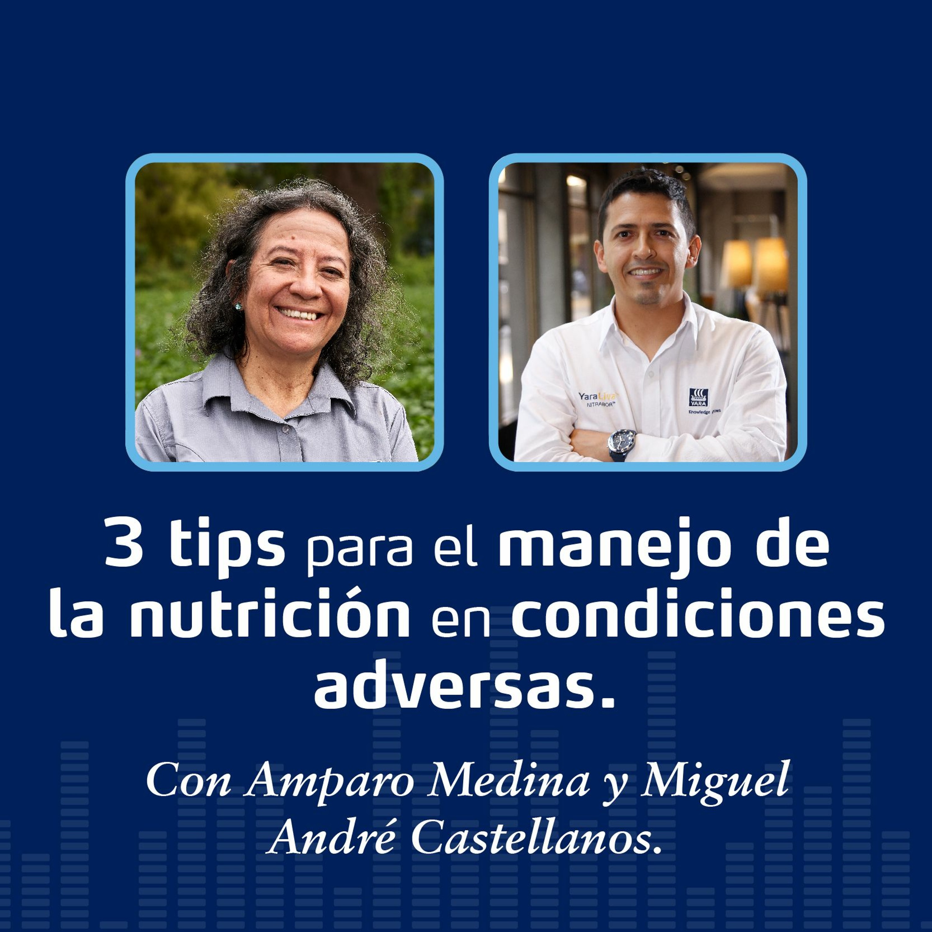 Productores Para El Futuro