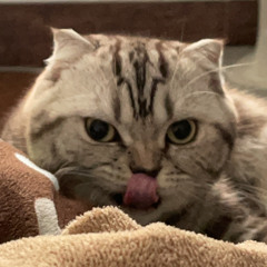 từ thích thích thành thương thương