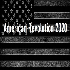 American Revolution 2020 - Election