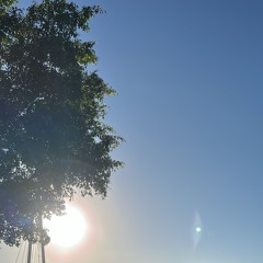 bold font (poppy ozu)