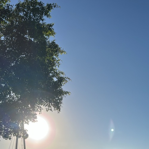 bold font (poppy ozu)